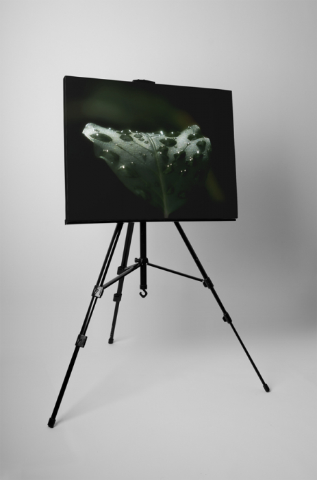 Tablou canvas : Roua [3]