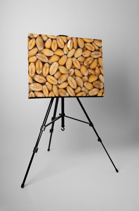 Tablou canvas : Dupa recoltarea graului [3]