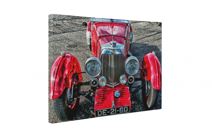 Tablou canvas : Red oldster [5]