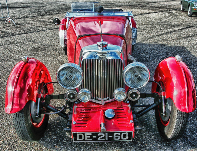 Tablou canvas : Red oldster [4]