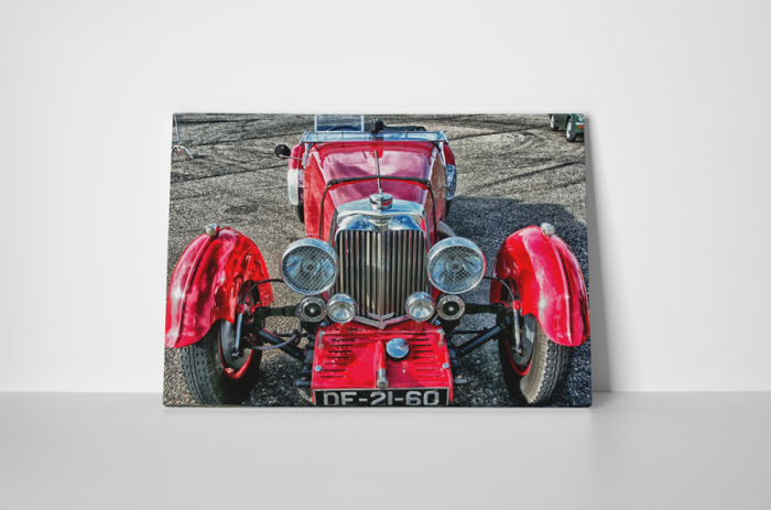 Tablou canvas : Red oldster [2]