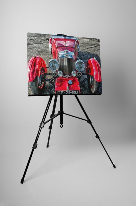 Tablou canvas : Red oldster [3]