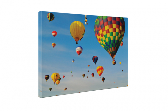 Tablou canvas : Balon cu aer cald [5]