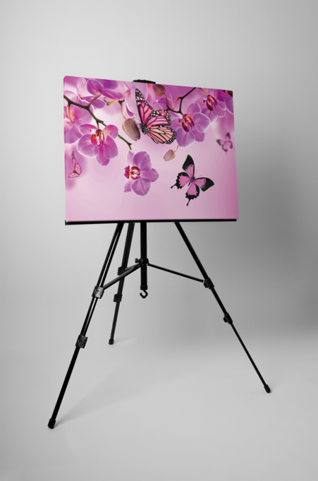 Tablou canvas : Fluturi roz [3]