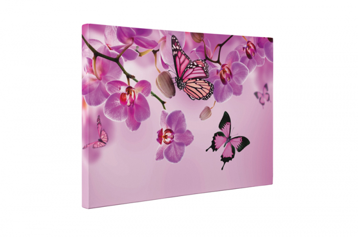 Tablou canvas : Fluturi roz [6]