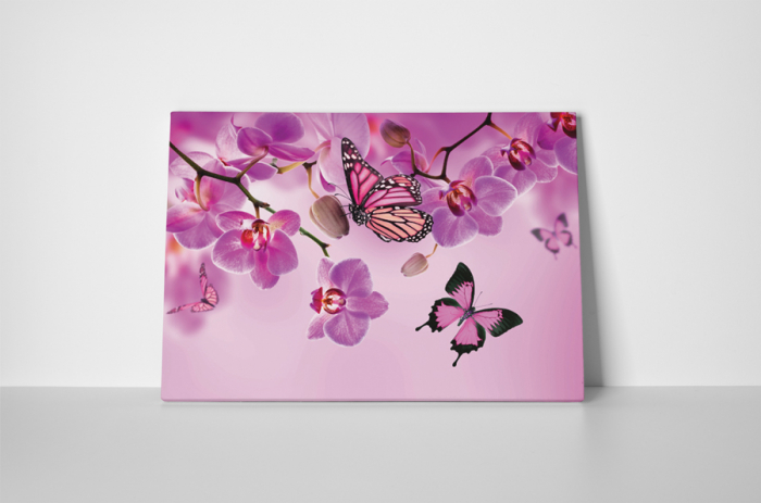 Tablou canvas : Fluturi roz [2]