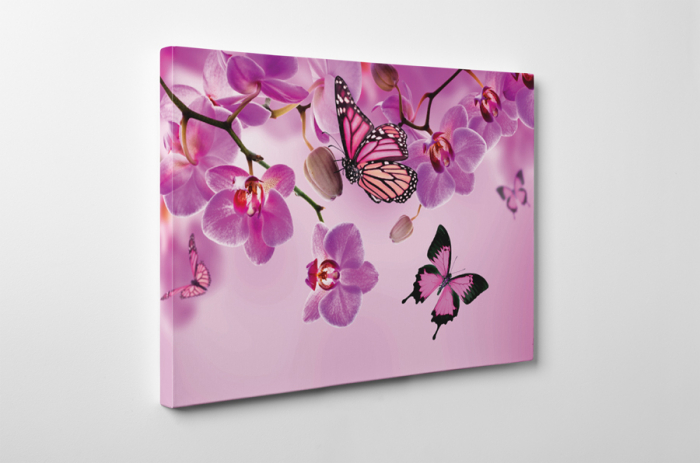 Tablou canvas : Fluturi roz [5]