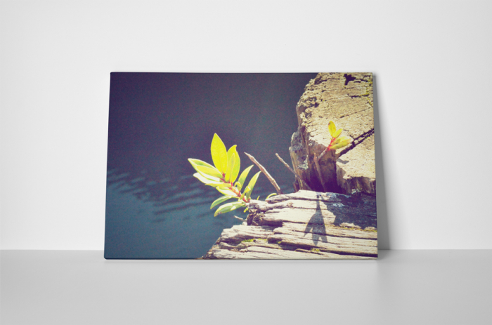 Tablou canvas : Viata inflorita [2]