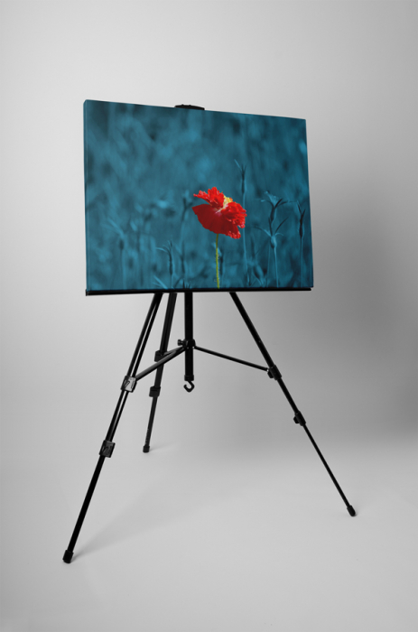 Tablou canvas : Floare speciala [3]
