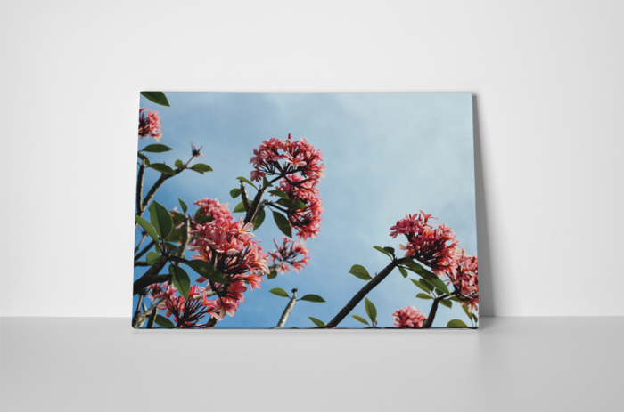 Tablou canvas : Flori marunte roz [2]