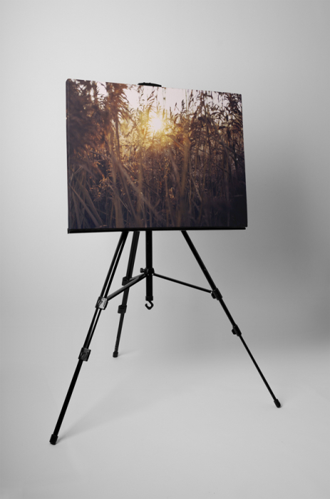 Tablou canvas : Apus de soare si iarba [3]