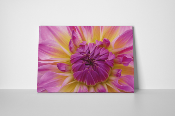 Tablou canvas : Boboc de floare [2]