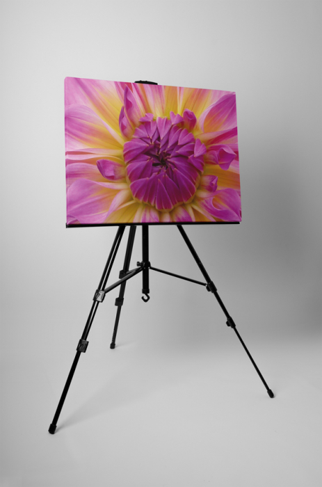 Tablou canvas : Boboc de floare [3]