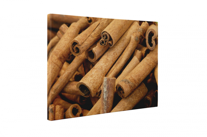 Tablou canvas : Scortisoara [5]