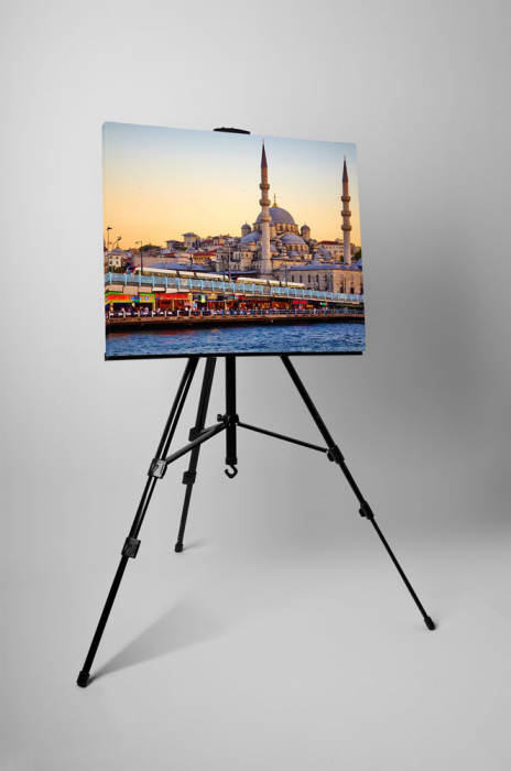 Tablou canvas : Istanbul [3]