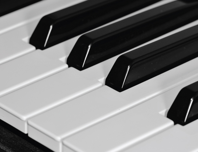 Tablou canvas : Pianul alb-negru [4]
