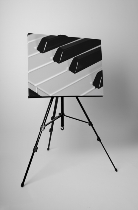 Tablou canvas : Pianul alb-negru [3]
