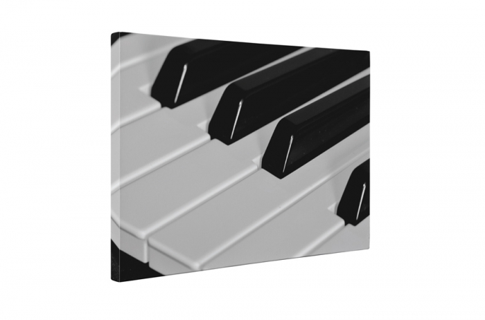 Tablou canvas : Pianul alb-negru [5]
