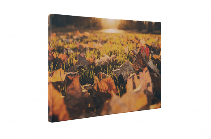 Tablou canvas : Avar [5]