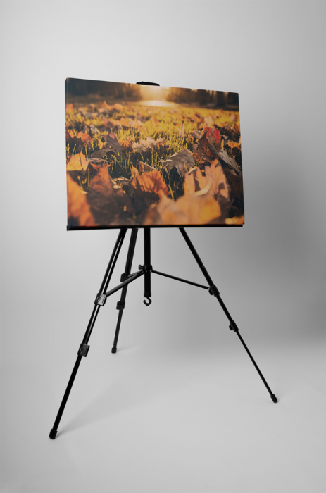 Tablou canvas : Avar [3]