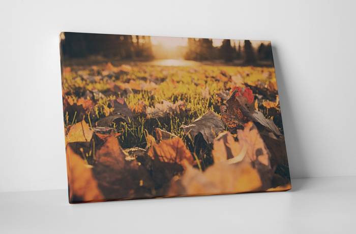 Tablou canvas : Avar [1]