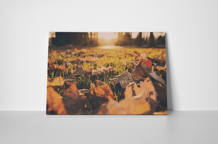 Tablou canvas : Avar [2]