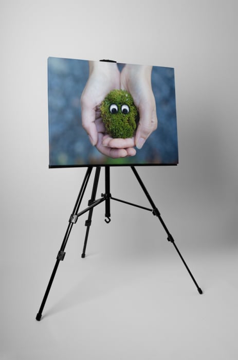 Tablou canvas : Monstrulet verde [3]