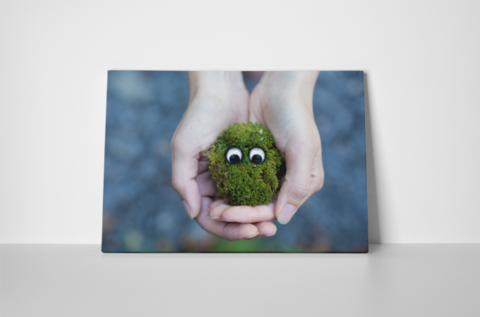 Tablou canvas : Monstrulet verde [2]