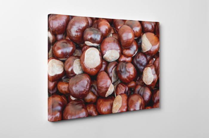 Tablou canvas : Castane [4]