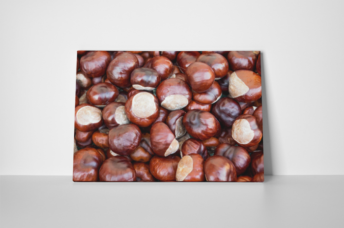 Tablou canvas : Castane [2]