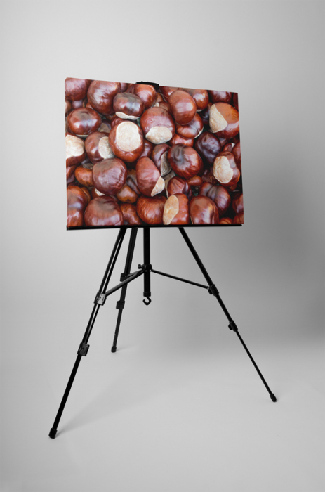 Tablou canvas : Castane [3]