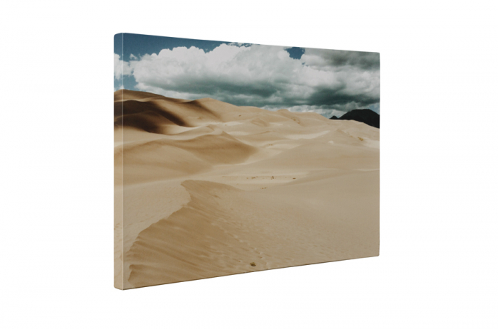 Tablou canvas : In desert [5]