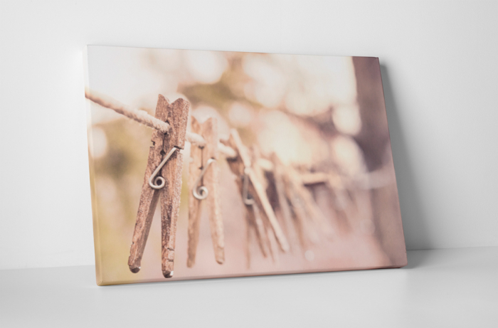 Tablou canvas : Carlige de rufe [1]