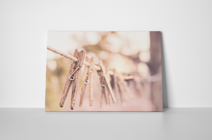 Tablou canvas : Carlige de rufe [2]