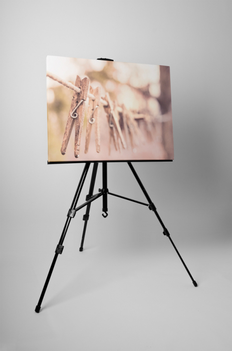 Tablou canvas : Carlige de rufe [3]