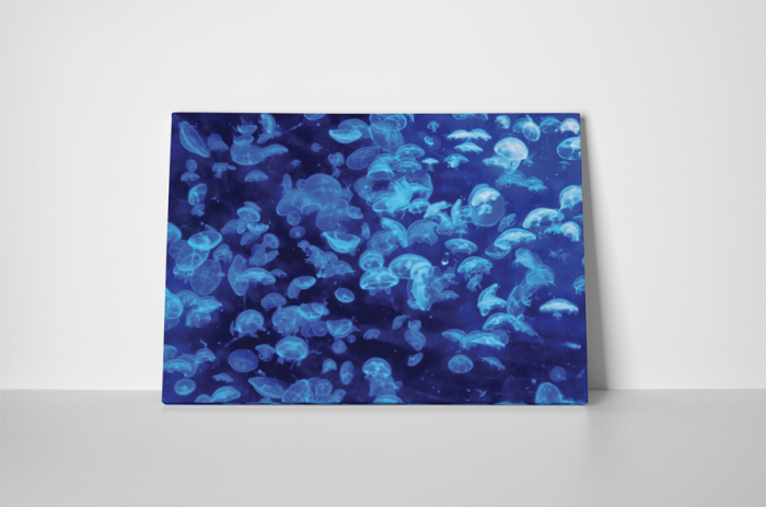 Tablou canvas : Meduze albastre [2]