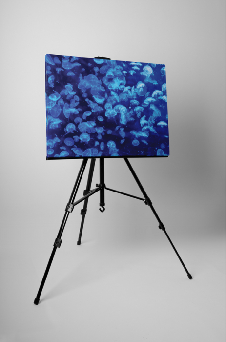 Tablou canvas : Meduze albastre [3]
