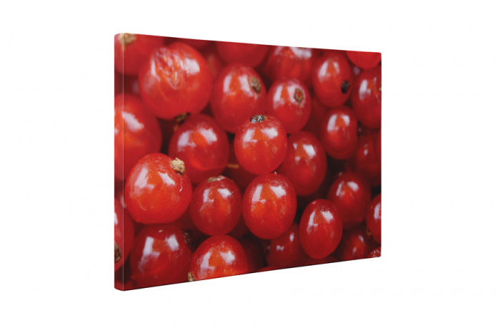 Tablou canvas : Coacaze [5]