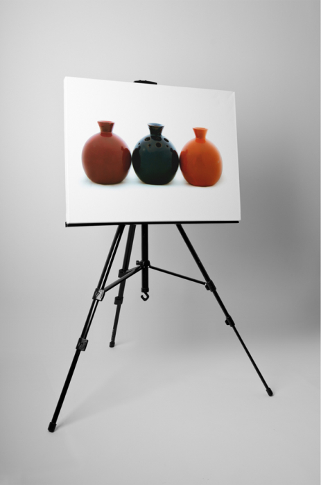 Tablou canvas : Vaze moderne [3]