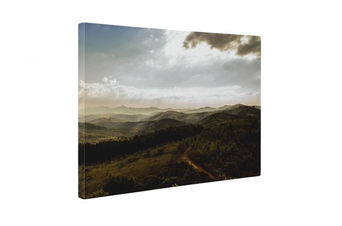 Tablou canvas : Dealuri [5]