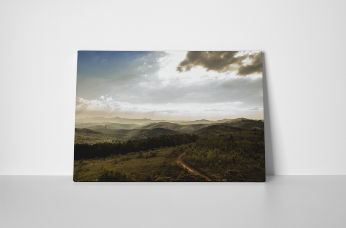 Tablou canvas : Dealuri [2]