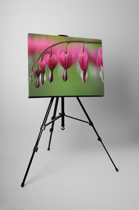 Tablou canvas : Lacrima inimioarei [3]