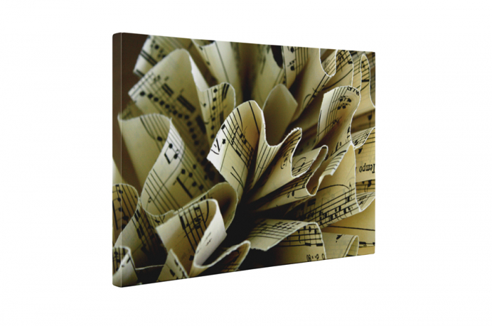 Tablou canvas : Foaie de muzica [5]