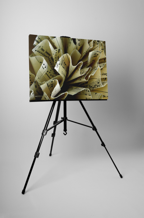 Tablou canvas : Foaie de muzica [3]