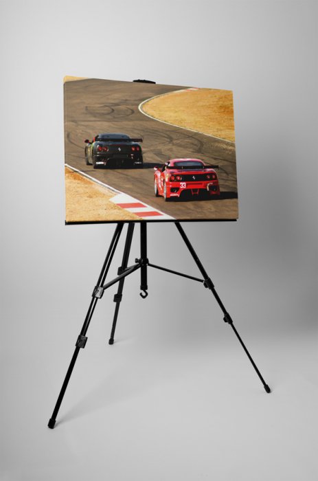 Tablou canvas : Racing cars [3]