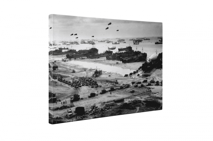 Tablou canvas : Razboi [5]