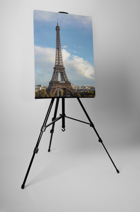Tablou canvas : Turnul Eiffel din Paris [3]