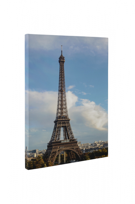 Tablou canvas : Turnul Eiffel din Paris [5]