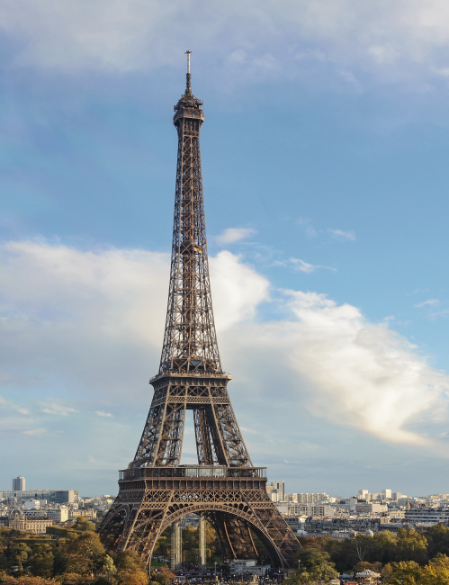 Tablou canvas : Turnul Eiffel din Paris [4]