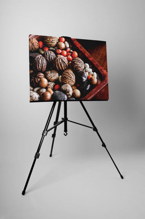 Tablou canvas : Nuci [3]